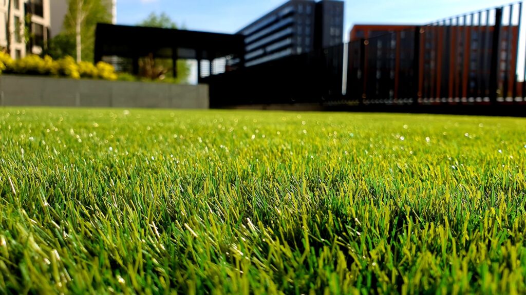 Freshly maintained lawn and landscaping work